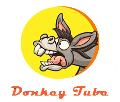 donkey tube